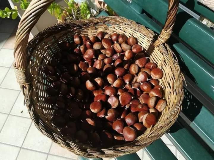 Casa Vacanza Zia Ersilia Rotondi 외부 사진