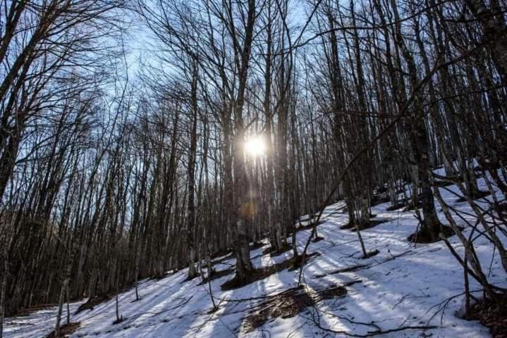 Casa Vacanza Zia Ersilia Rotondi 외부 사진