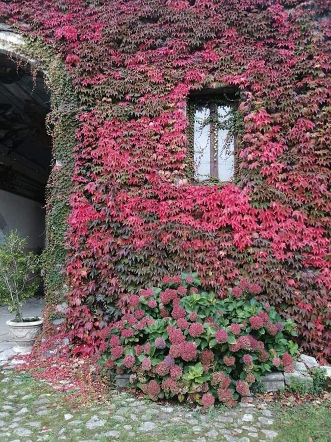 Casa Vacanza Zia Ersilia Rotondi 외부 사진